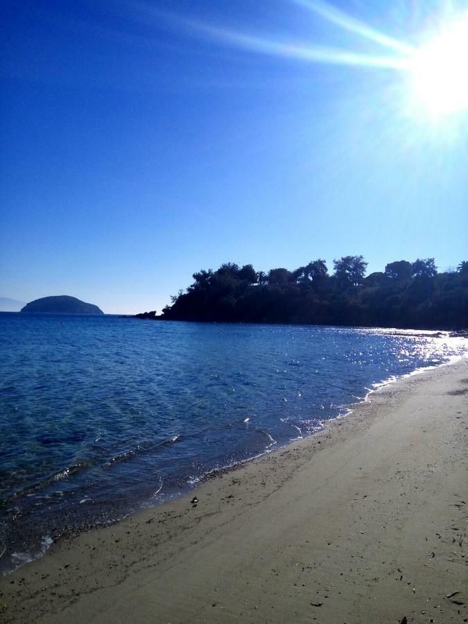 Sea And Garden Daire PalaiónTsiflíkion Dış mekan fotoğraf